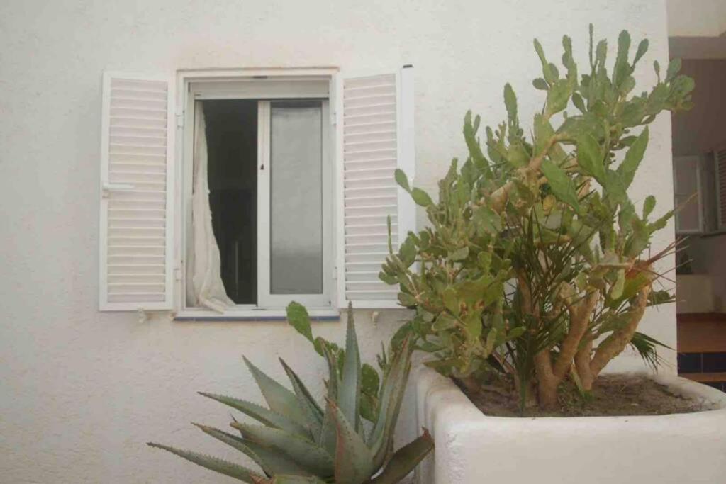 Apartamento A 2 Minutos Andando A La Playa. La Isleta del Moro Extérieur photo